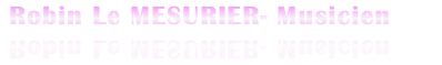 Robin Le MESURIER- Musicien